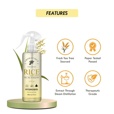 https://cdn.shopify.com/s/files/1/1857/6931/files/RJfIA3tsWB-714594.png?v=1736149328